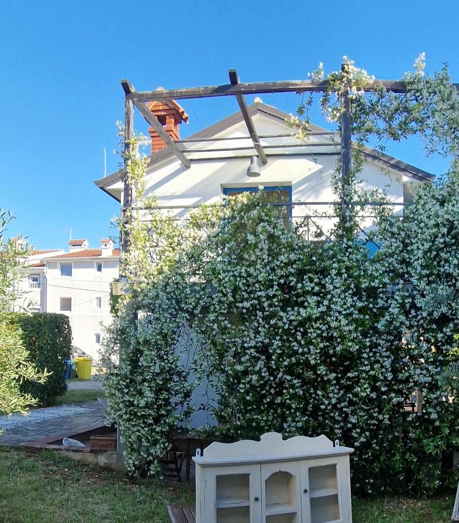 Apartments Ivas Zambratija  Εξωτερικό φωτογραφία